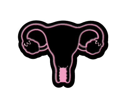 Uterus Outline