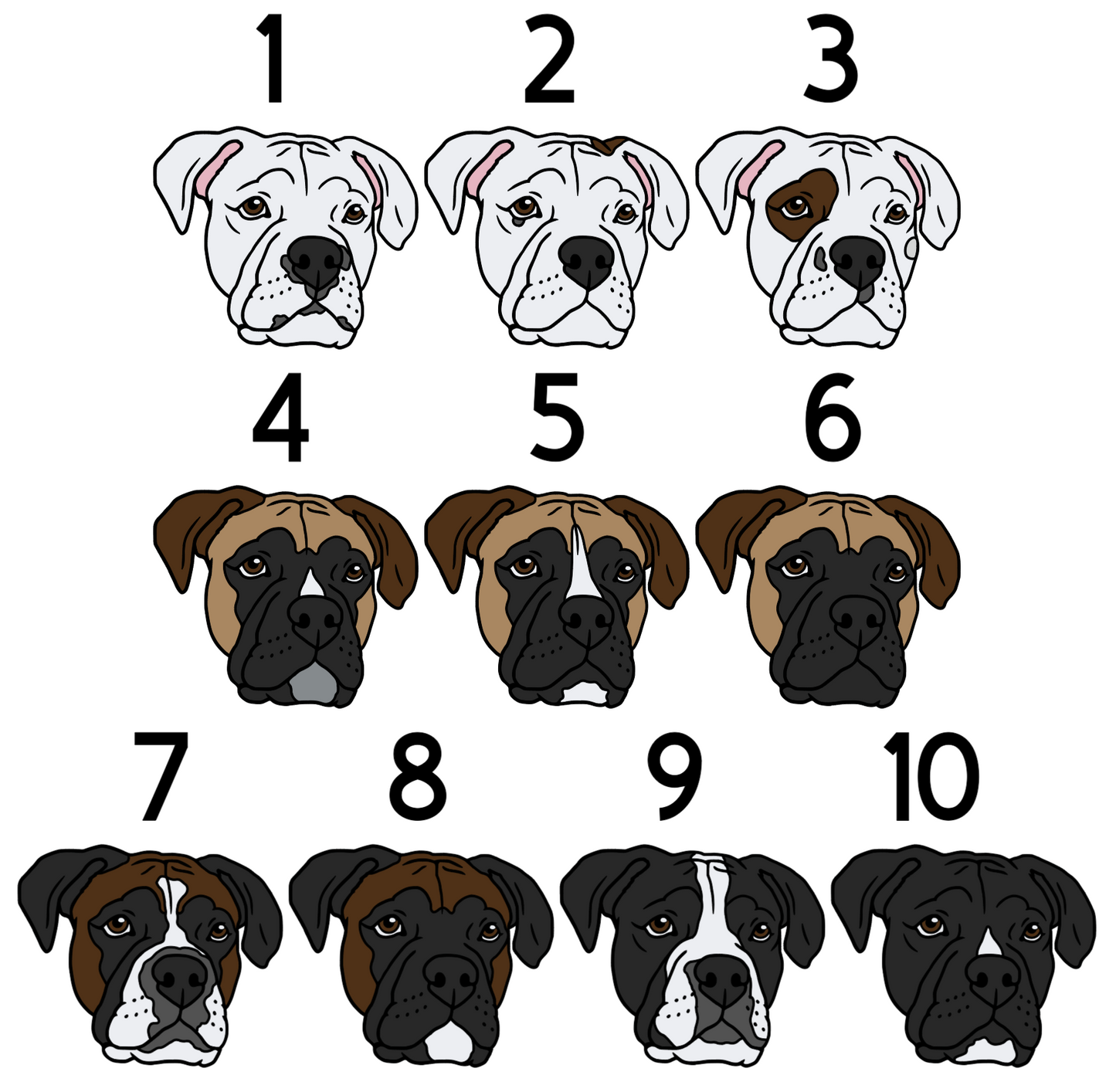 Boxer Head