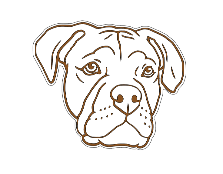 Boxer Head