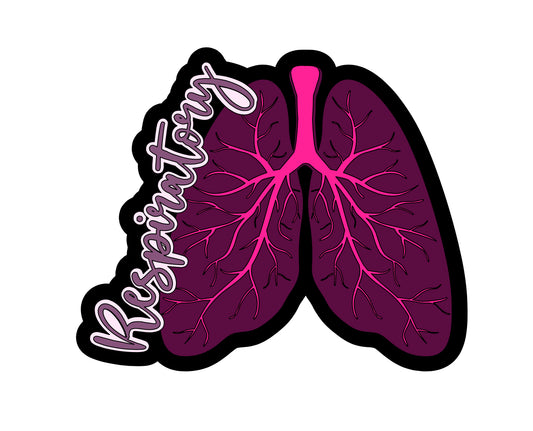 Respiratory Lungs