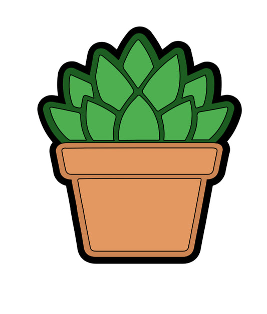 Potted Succulent